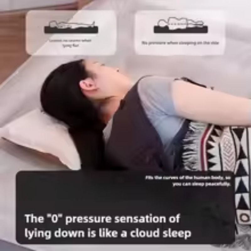 Inflatable Air Mattress Built- - Tech Queen บทวิจารณ์และราคา